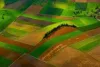 e787_aree_agricole_thumbnail